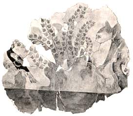 Cat Stalking a Pheasant, mural fragment, c. 1600-1580 B.C.